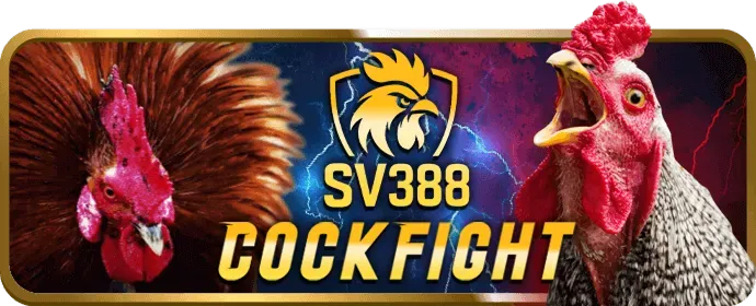 Thanh toán nhanh chóng c8bet casino