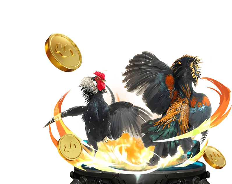 Kèo Wala trong đá gà c8bet casino