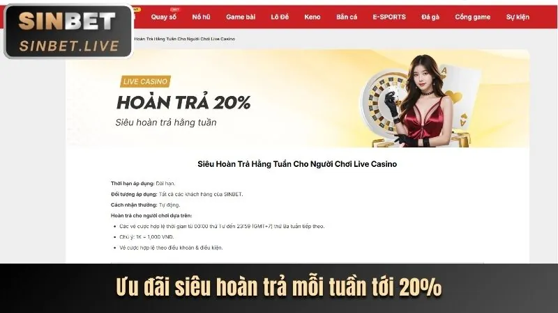 Cấp độ VIP Bạc c8bet casino